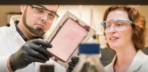 Two scientists examine specimen in a lab